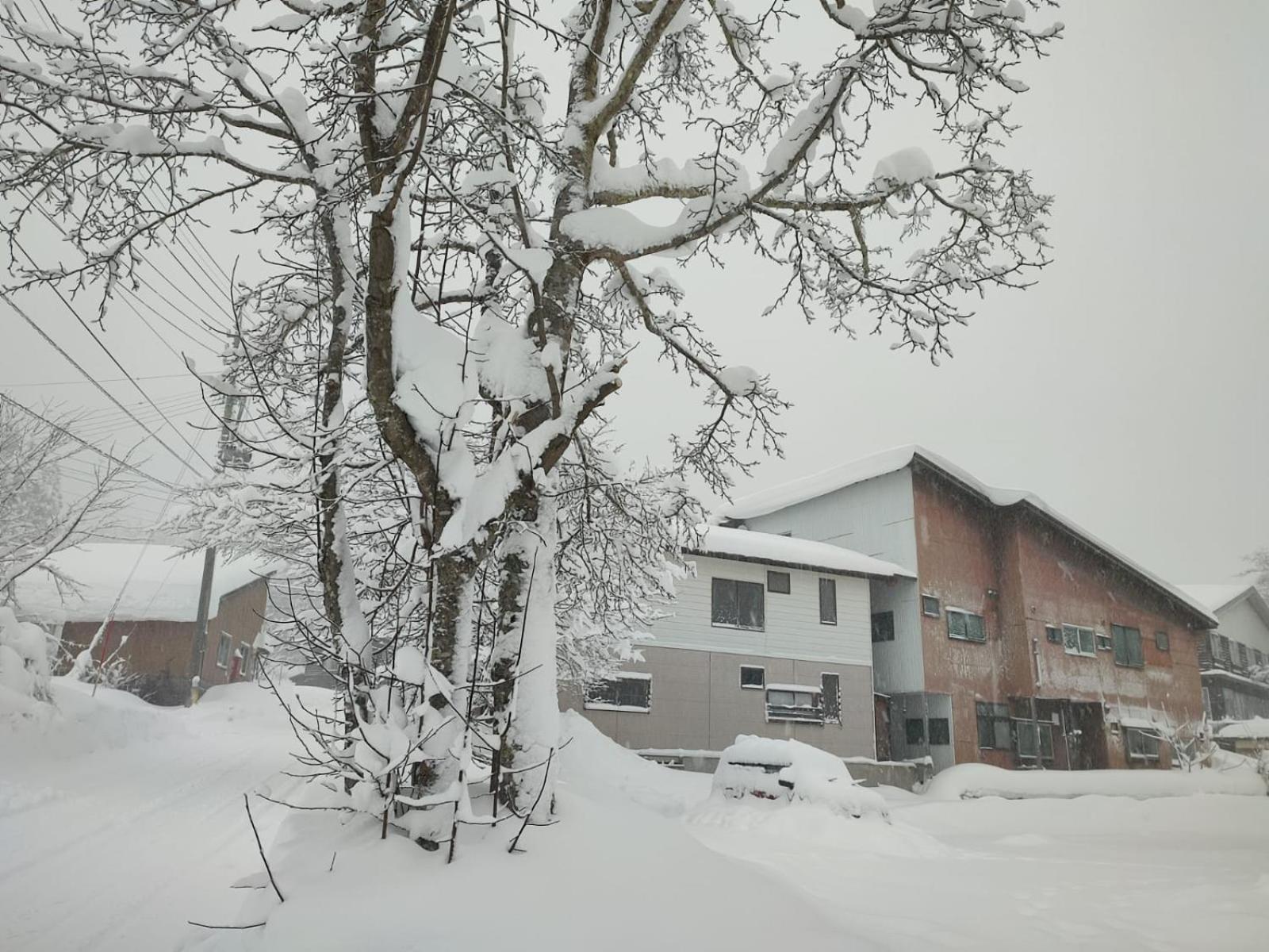 Peuf Lodge Otari Екстериор снимка